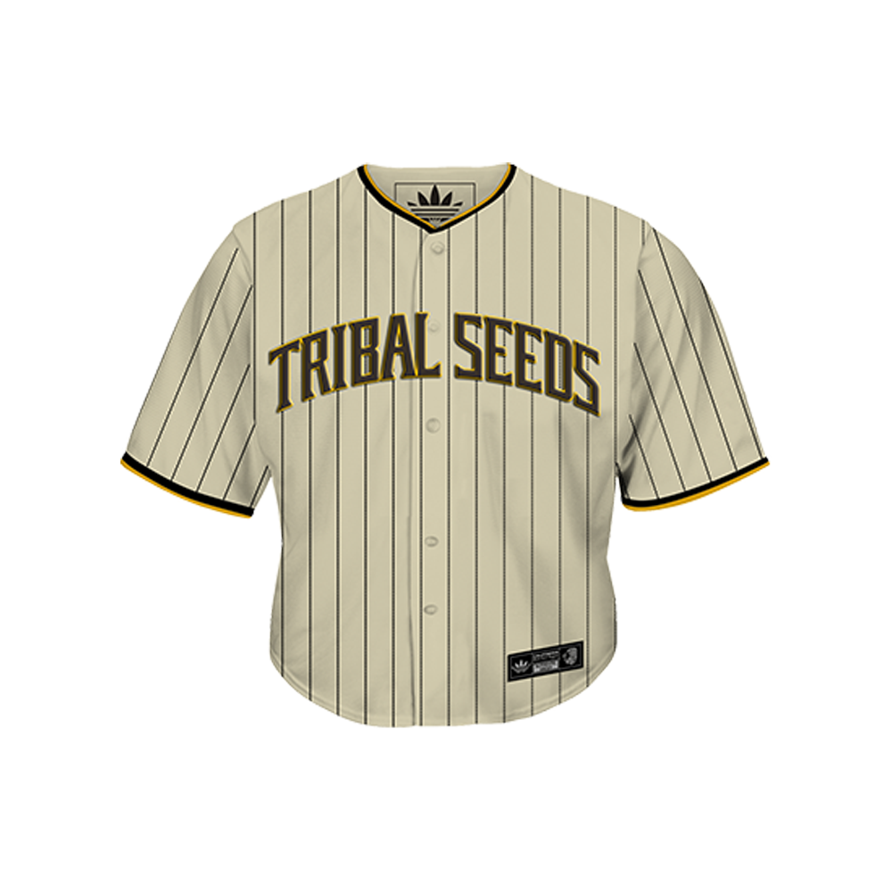 Cropped Baseball Jersey
